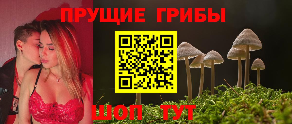 Джанкой  Псилоцибиновые грибы мицелий  Вход с VPN 